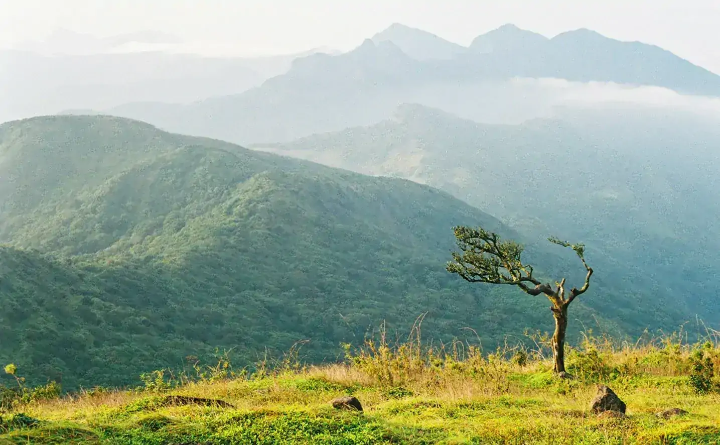 Signature Sri Lanka Tour(6 Days)